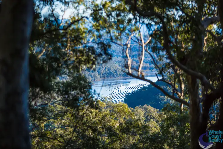 Fourth view of Homely rural property listing, 100 Hobbs Point Road, Narooma NSW 2546
