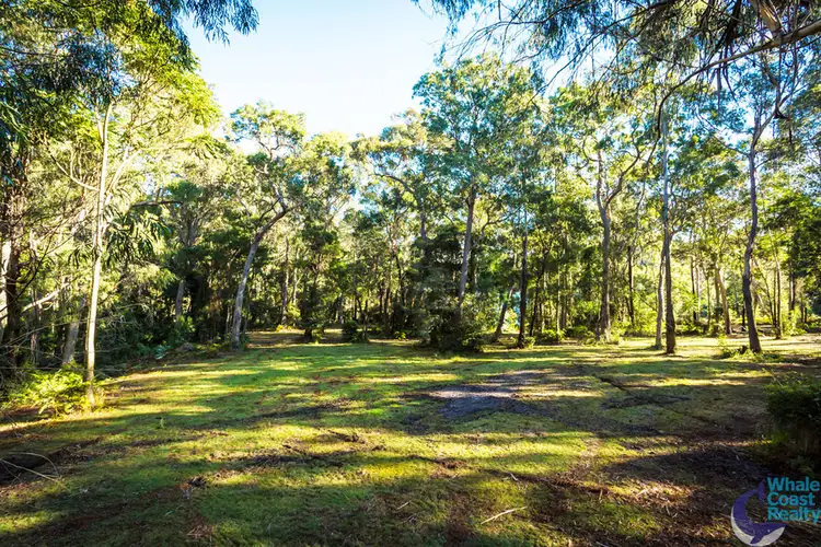 Fifth view of Homely rural property listing, 100 Hobbs Point Road, Narooma NSW 2546