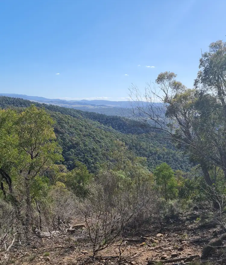 Main view of Homely rural property listing, Lot 34 Palarang Road, Merriangaah NSW 2632
