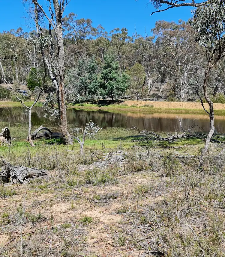 Third view of Homely rural property listing, Lot 34 Palarang Road, Merriangaah NSW 2632