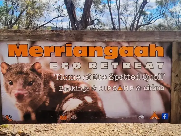 Fourth view of Homely rural property listing, Lot 34 Palarang Road, Merriangaah NSW 2632