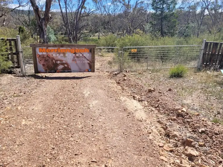 Fifth view of Homely rural property listing, Lot 34 Palarang Road, Merriangaah NSW 2632