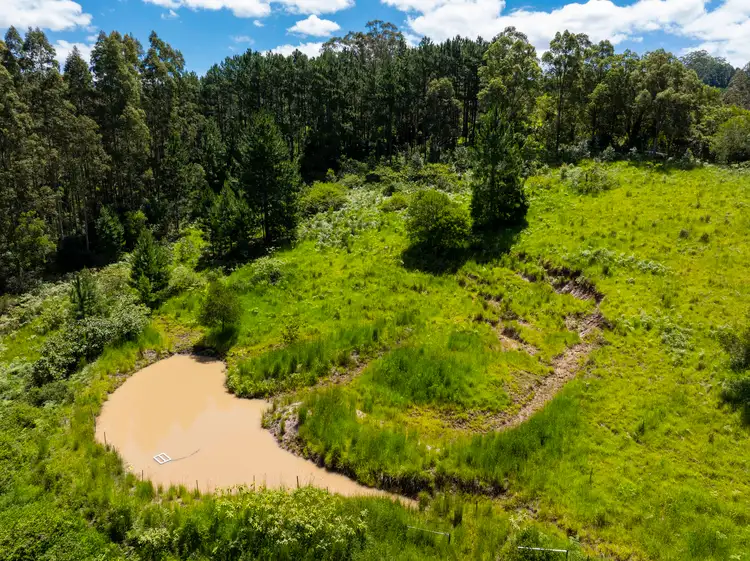 Third view of Homely land listing, 345 Blue Knob Road, Nimbin NSW 2480