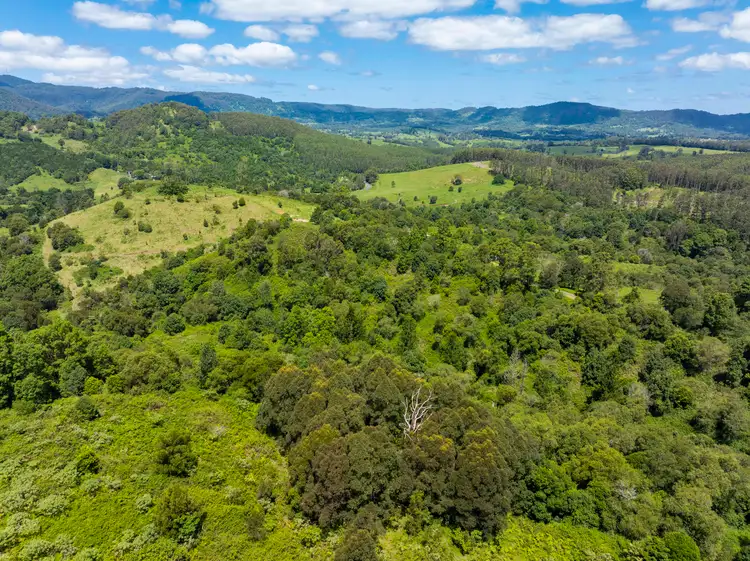Fifth view of Homely land listing, 345 Blue Knob Road, Nimbin NSW 2480