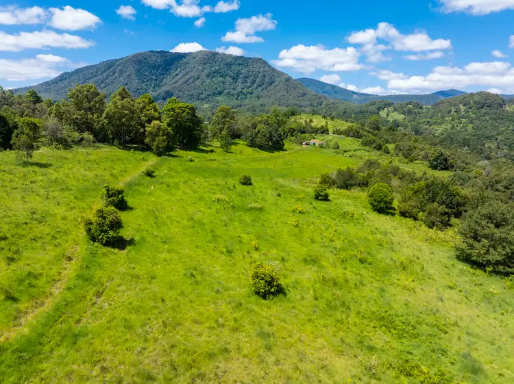 Sixth view of Homely land listing, 345 Blue Knob Road, Nimbin NSW 2480