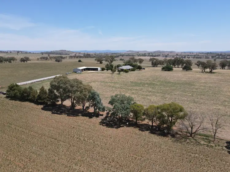 Second view of Homely rural property listing, 427 Gallaghers Road, Canowindra NSW 2804