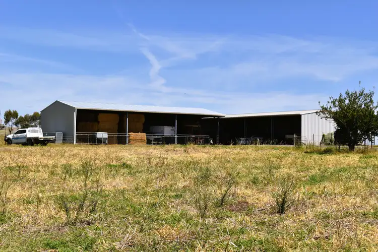Fourth view of Homely rural property listing, 427 Gallaghers Road, Canowindra NSW 2804