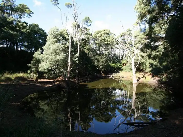 Second view of Homely land listing, 226 Hursts Road, Lileah TAS 7330