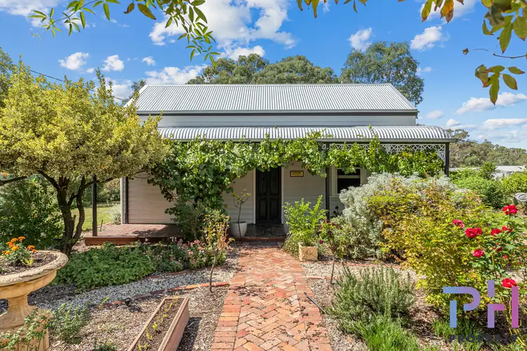 82 Goldie Street