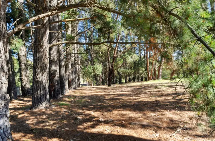 Fourth view of Homely land listing, Address available on request