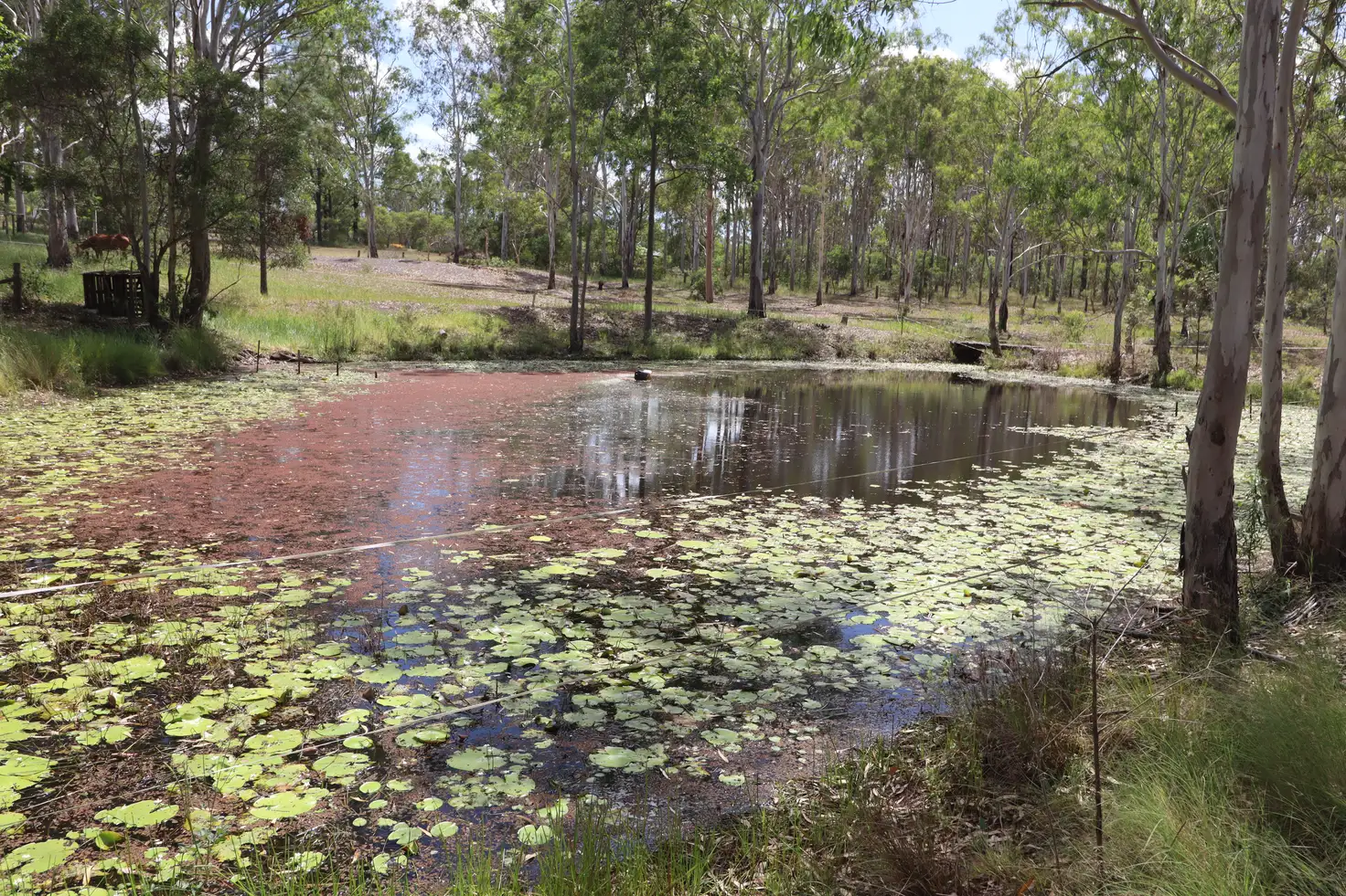 Main view of Homely house listing, 95 Monduran Road, Yandaran QLD 4673