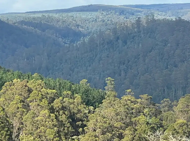 Fifth view of Homely land listing, 654 West Calder Road, Calder TAS 7325