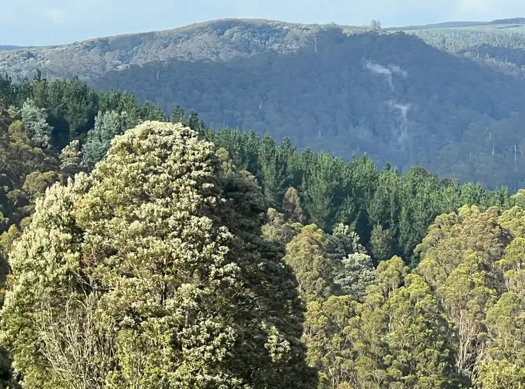 Sixth view of Homely land listing, 654 West Calder Road, Calder TAS 7325