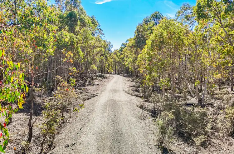 PID 9190865 Gipps Creek Road, Rossarden TAS 7213