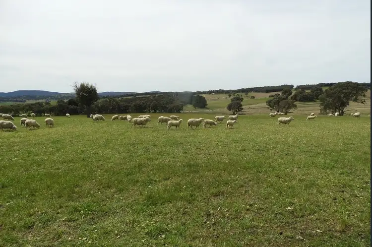 Main view of Homely rural property listing, 94 Kangaloolah Road, Crookwell NSW 2583