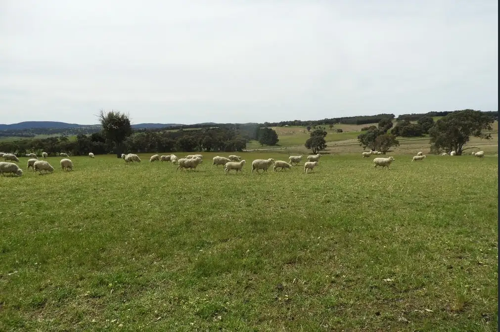 Main view of Homely rural property listing, 94 Kangaloolah Road, Crookwell NSW 2583