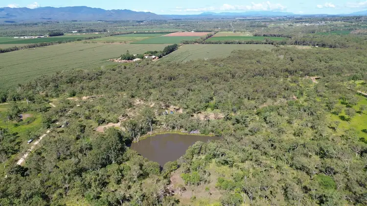 Third view of Homely rural property listing, 479 Marnane Road, Tolga QLD 4882