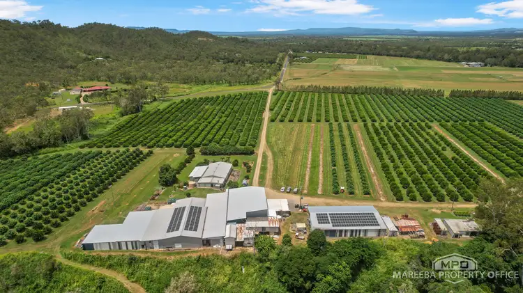 733 Bilwon Road, Biboohra QLD 4880