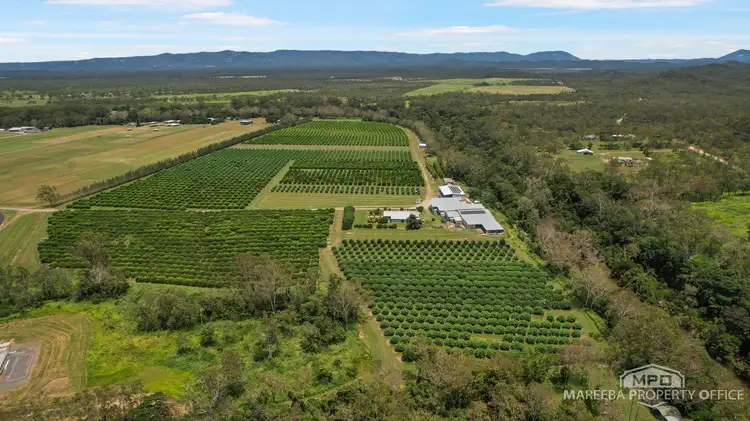 Third view of Homely rural property listing, 733 Bilwon Road, Biboohra QLD 4880