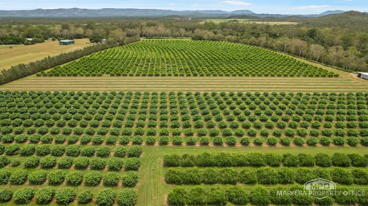 Fourth view of Homely rural property listing, 733 Bilwon Road, Biboohra QLD 4880