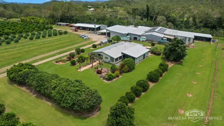 Sixth view of Homely rural property listing, 733 Bilwon Road, Biboohra QLD 4880