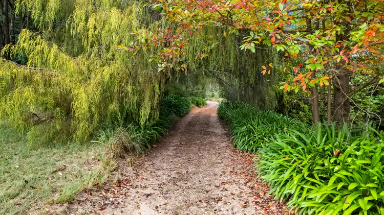 Fifth view of Homely house listing, 222 Coxs River Road, Little Hartley NSW 2790