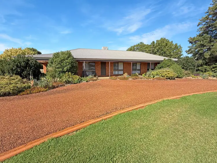 Main view of Homely house listing, 51 BORONIA ROAD, Leeton NSW 2705