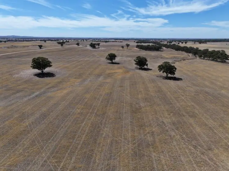 Second view of Homely rural property listing, 0 Old Canfields Road, Fiery Flat VIC 3518