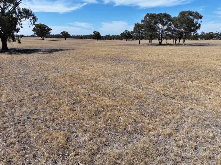 Third view of Homely rural property listing, 0 Old Canfields Road, Fiery Flat VIC 3518