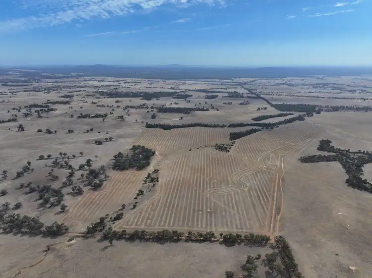 Second view of Homely rural property listing, Lot 8 Dunolly-Orville Road, Murphys Creek VIC 3551