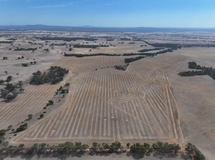 Third view of Homely rural property listing, Lot 8 Dunolly-Orville Road, Murphys Creek VIC 3551