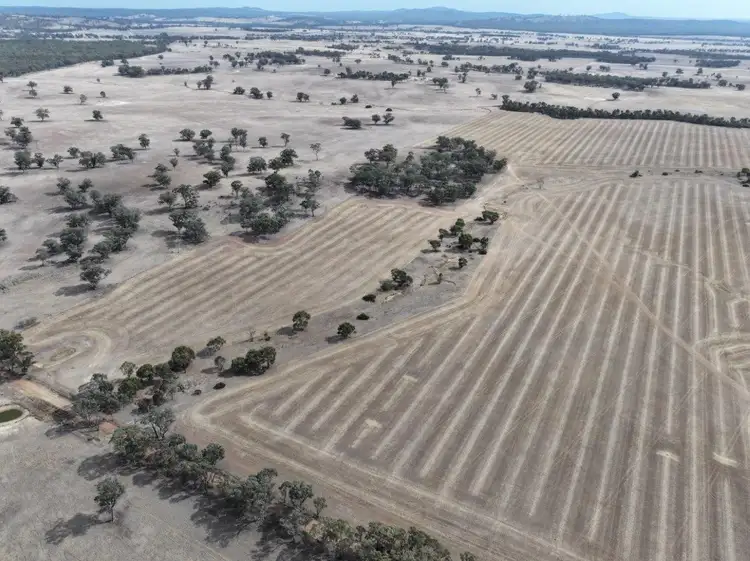 Fifth view of Homely rural property listing, Lot 8 Dunolly-Orville Road, Murphys Creek VIC 3551