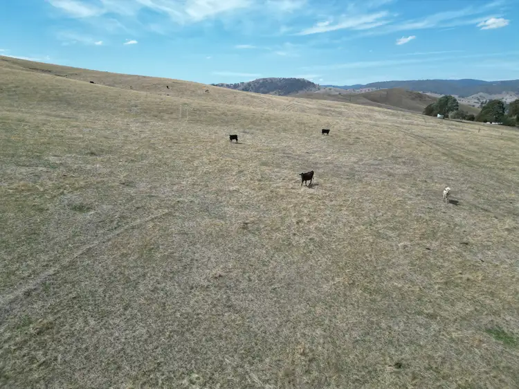 Fourth view of Homely land listing, LOT 1, LP135805 Kiewa East Road, Tangambalanga VIC 3691