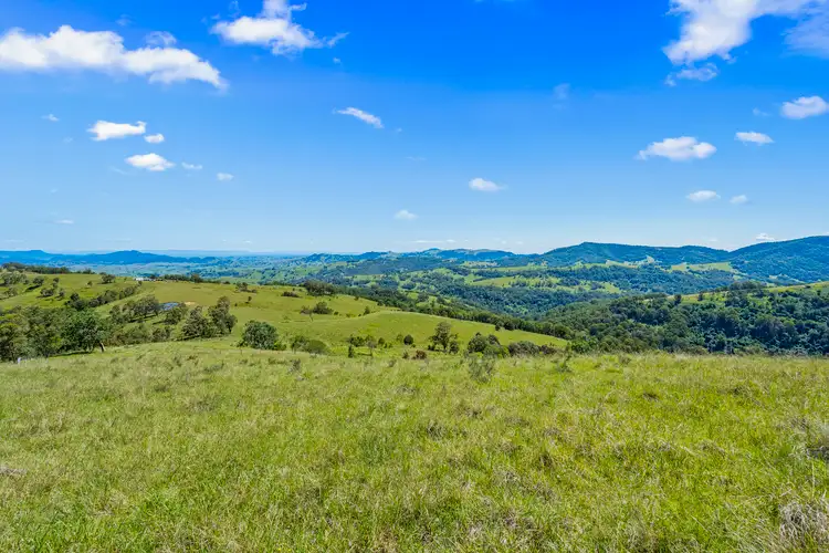 Fourth view of Homely rural property listing, Miranioka | Mirannie Road, Singleton NSW 2330