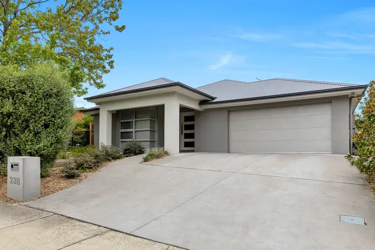 238 Beasley Street, Farrer ACT 2607