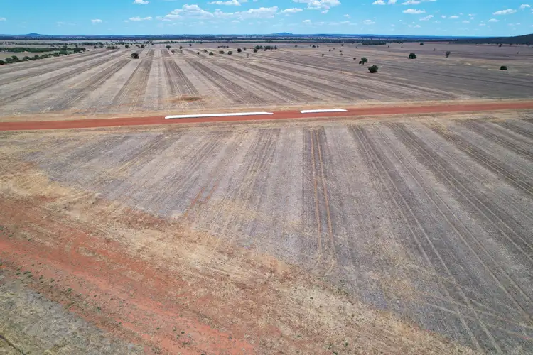 2190 Yarrabandai Road, Trundle NSW 2875