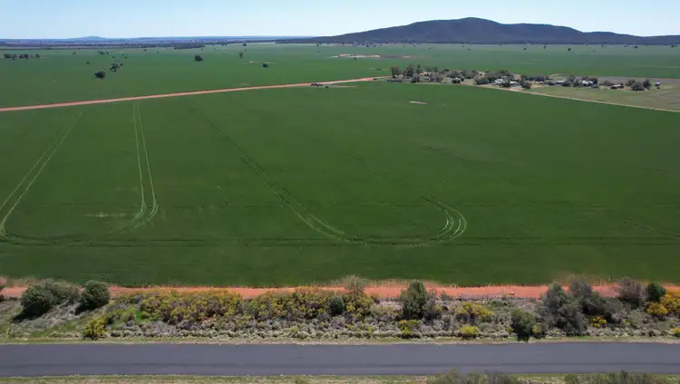 Fifth view of Homely rural property listing, 2190 Yarrabandai Road, Trundle NSW 2875