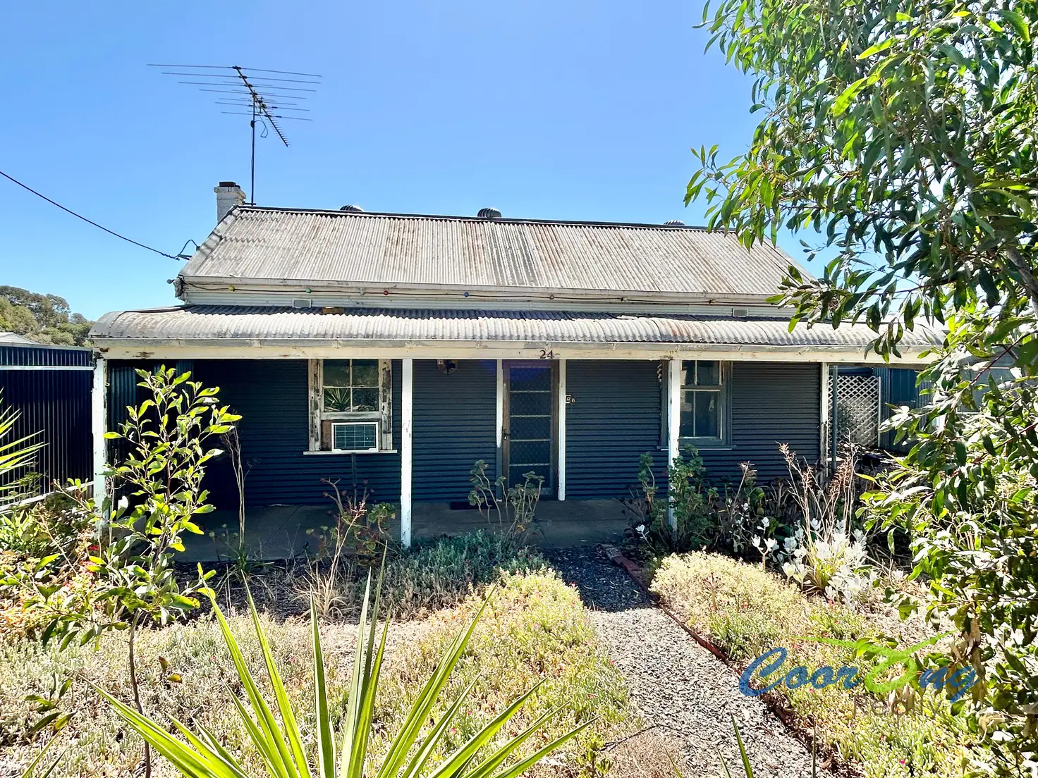 Main view of Homely house listing, 24 Mawson Avenue, Tailem Bend SA 5260