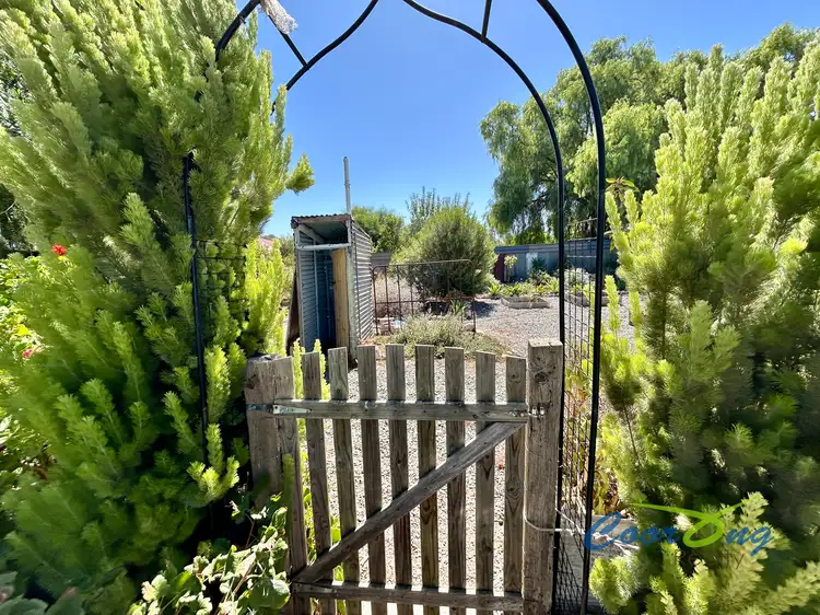 Third view of Homely house listing, 24 Mawson Avenue, Tailem Bend SA 5260