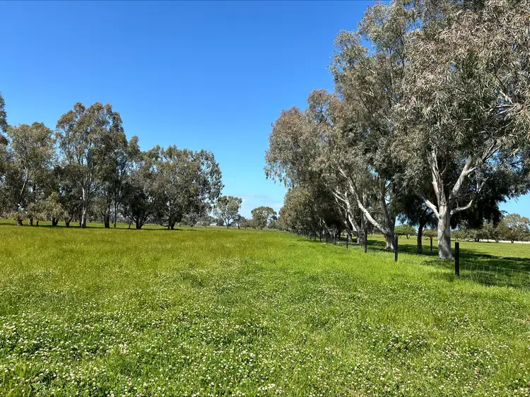 127 Richter Road, West Coolup WA 6214