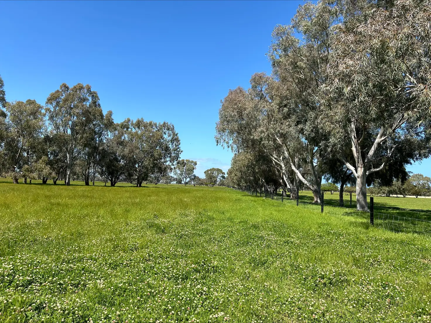Main view of Homely rural property listing, 127 Richter Road, West Coolup WA 6214