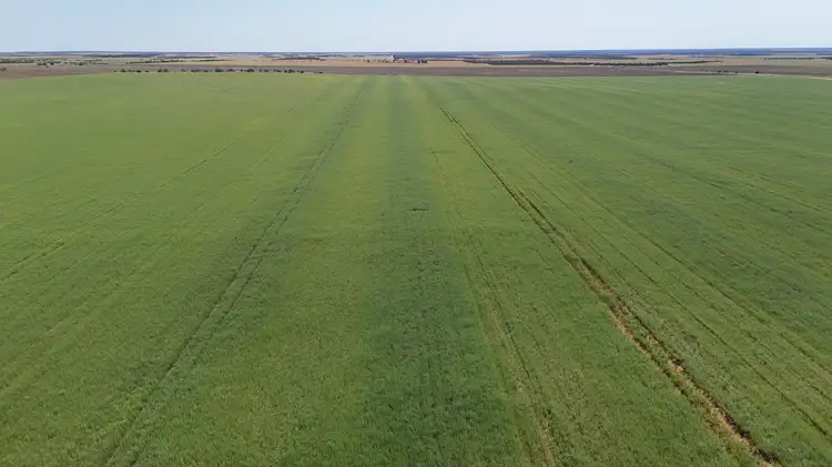 Main view of Homely rural property listing, LOT Lots 100, and Multi Lot 4703 Binnu Road, Ogilvie WA 6535