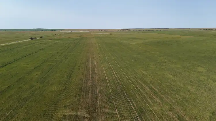 Second view of Homely rural property listing, LOT Lots 100, and Multi Lot 4703 Binnu Road, Ogilvie WA 6535