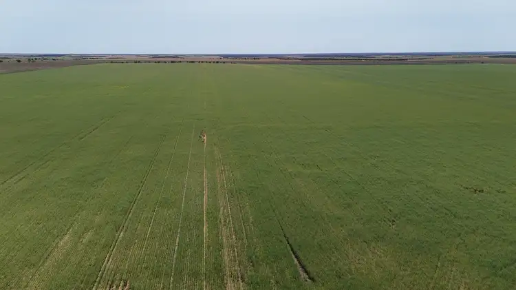 Fourth view of Homely rural property listing, LOT Lots 100, and Multi Lot 4703 Binnu Road, Ogilvie WA 6535