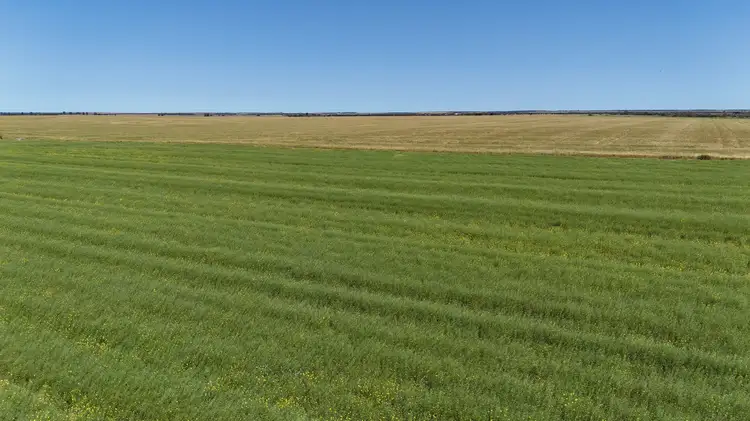 Fifth view of Homely rural property listing, LOT Lots 100, and Multi Lot 4703 Binnu Road, Ogilvie WA 6535
