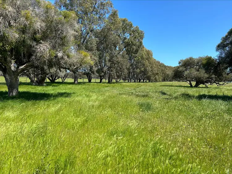 Third view of Homely rural property listing, LOT Lot 46, 0 Richter Road, West Coolup WA 6214