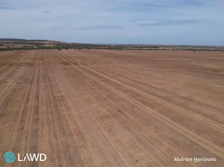 Second view of Homely rural property listing, Springfield Park, Arthur Road, Walkaway WA 6528