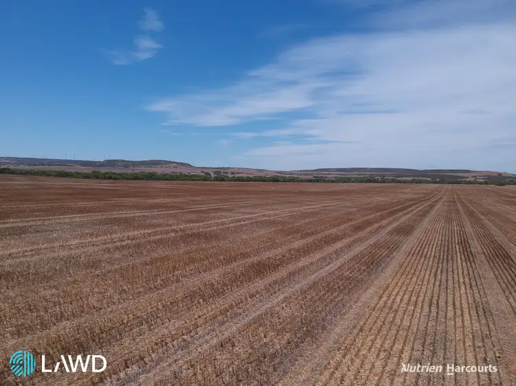 Third view of Homely rural property listing, Springfield Park, Arthur Road, Walkaway WA 6528