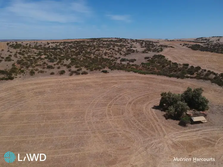 Fourth view of Homely rural property listing, Springfield Park, Arthur Road, Walkaway WA 6528