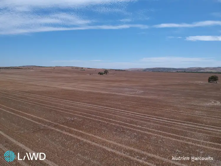 Seventh view of Homely rural property listing, Springfield Park, Arthur Road, Walkaway WA 6528